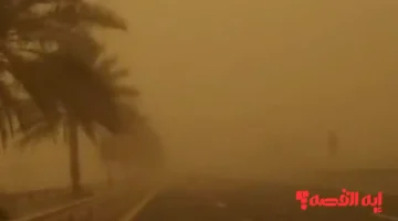 توقعات 6 أيام.. تنويه جوي بخصوص الشبورة وأمطار متفاوتة الشدة